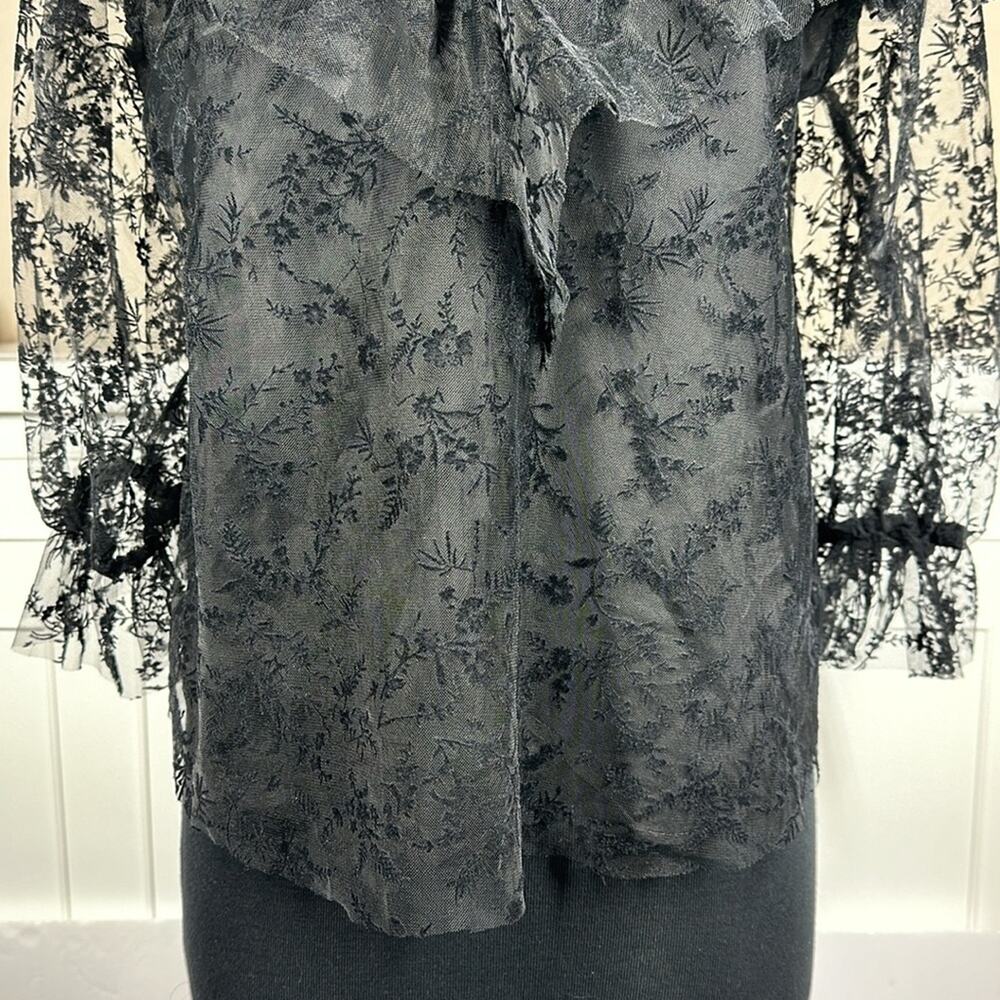 Zara Floral Tulle Ruffle Trim Blouse Top Black Sheer Velvet Lace Whimsigoth Sz L - Picture 7 of 13